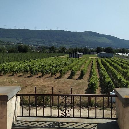 Agriturismo Il Casale Del Cavaliere SantʼAgata deʼ Goti Exterior foto